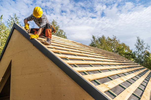 Best Metal Roofing Contractor  in Sheridan, IN